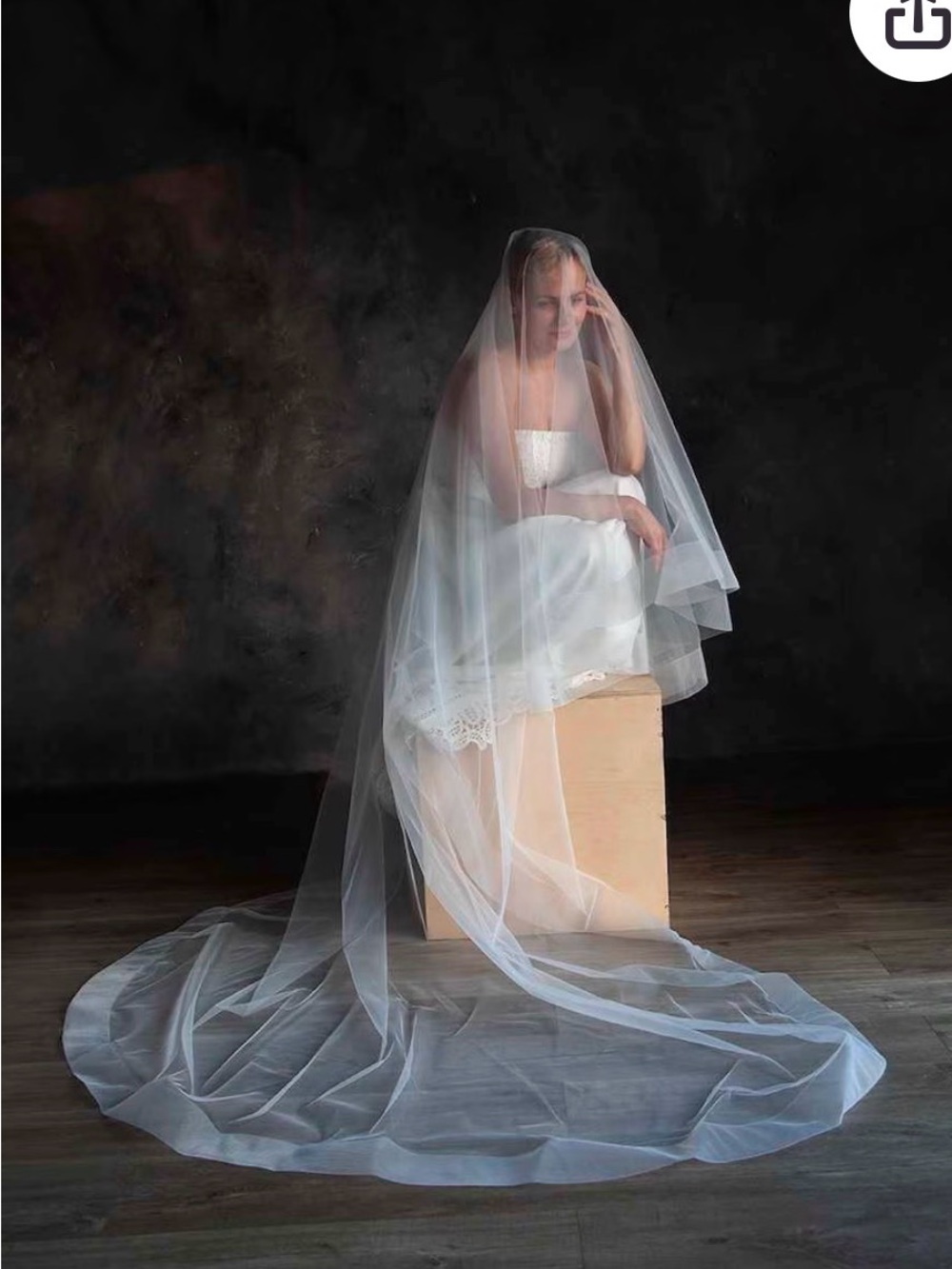 Cathedral length bridal veil with blusher